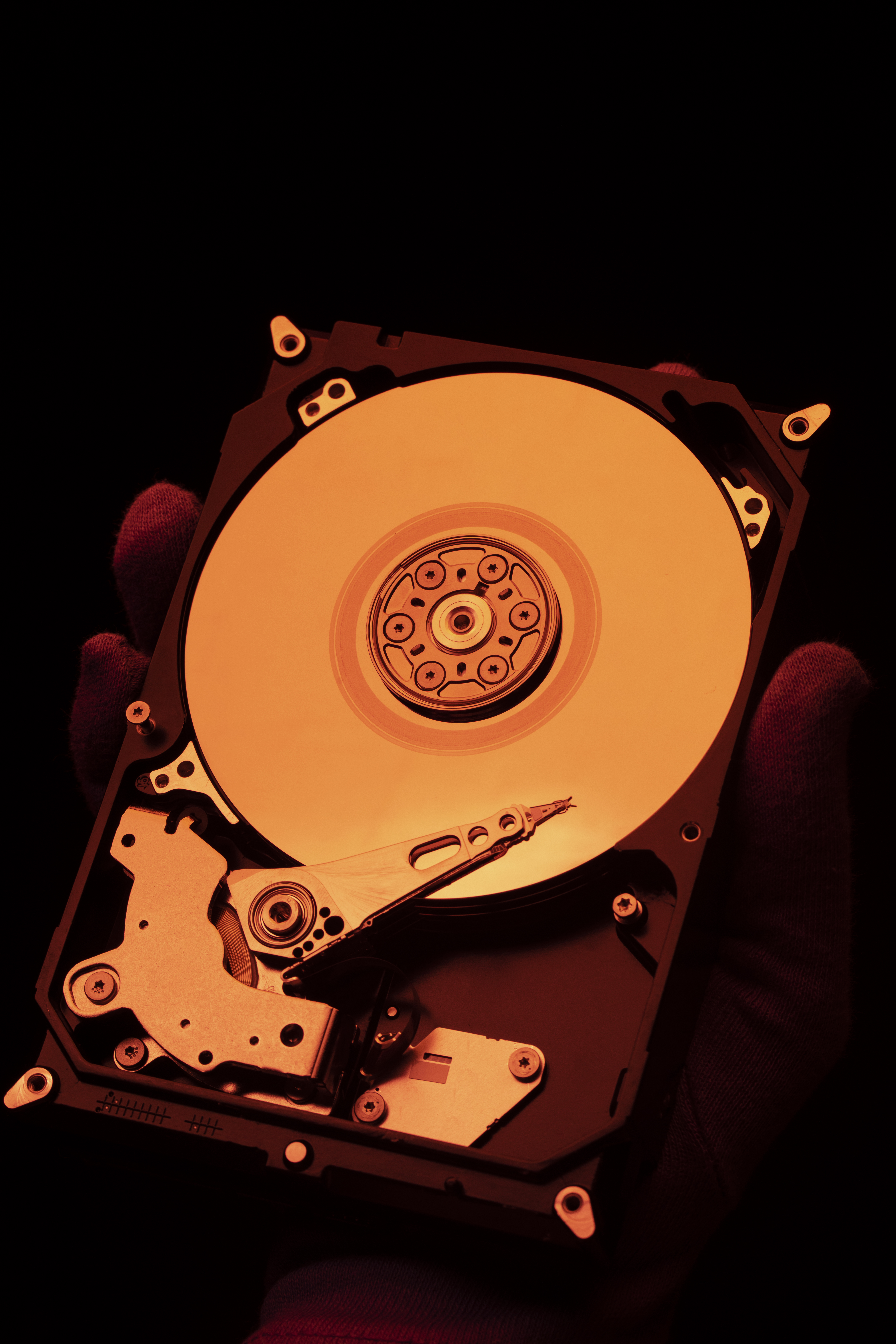 Certificate TuneLockr